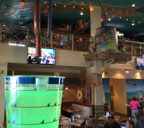 Margaritaville Island Hotel - Pigeon Forge, TN