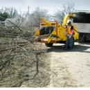 Best Tree Service - Tree Service