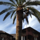 Art's Tree Service - Tree Service