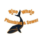 Blue Whale Backflow, Plumbing, & Excavating