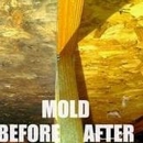 Smart: Mold & Water Restoration - Water Damage Restoration