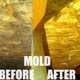 Smart: Mold & Water Restoration