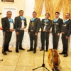 Mariachi Los Gallitos gallery