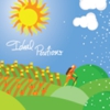 Ideal Positions gallery