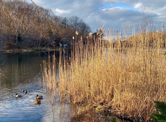 Frank Melville Memorial Park - Setauket, NY