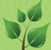 Saintley Grounds - Gardeners