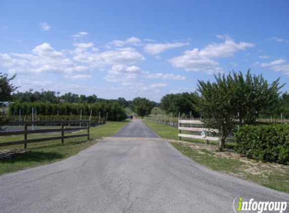 Tedder Nursery - Lady Lake, FL