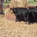 Crooked Creek Farm - Butchering