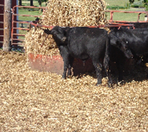 Crooked Creek Farm - Lapeer, MI