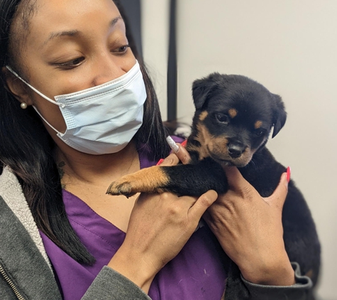 Briarcliff Animal Clinic and College Park - Atlanta, GA