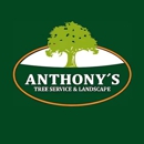 Anthony's Tree Service & Landscape - Snow Removal Service