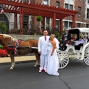 Karen's Carriage - Horse & Carriage-Rental