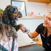 Sploot Veterinary Care-Logan Square gallery