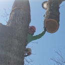 American Tree Service - Tree Service