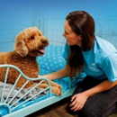 Pet Paradise - Hostels