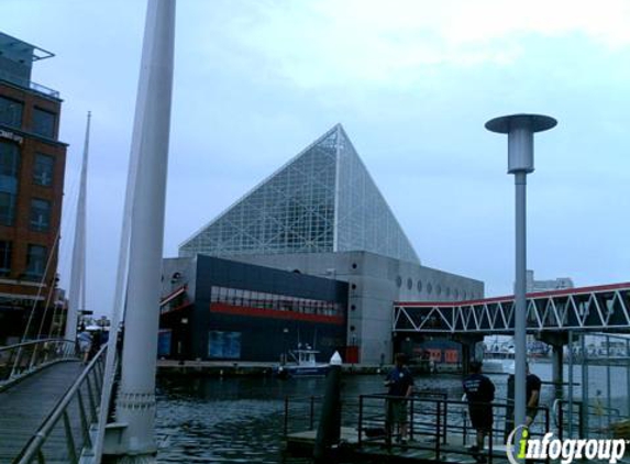 National Aquarium - Baltimore, MD