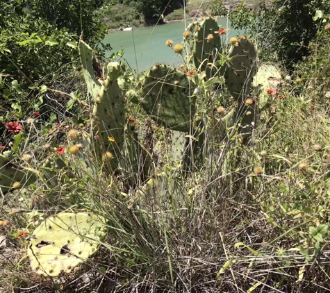 Milton Reimer's Ranch Park - Dripping Springs, TX