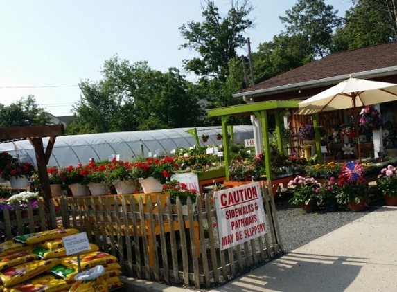 Coppola Garden Center - South Plainfield, NJ