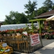 Coppola Garden Center