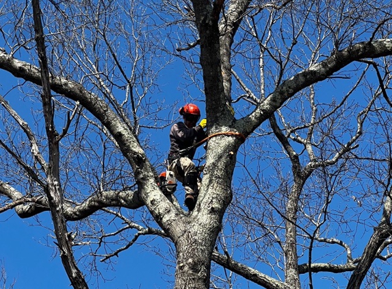 Lopez Landscaping & Tree Service