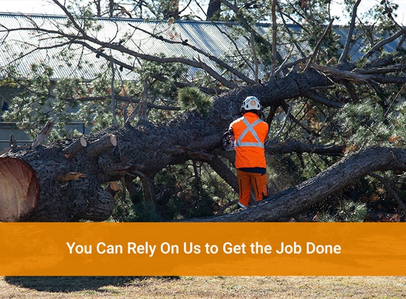 Oliver Shoemark Tree Service Pty Ltd - West Bathurst, NSW. You Can Rely On Us to Get the Job Done