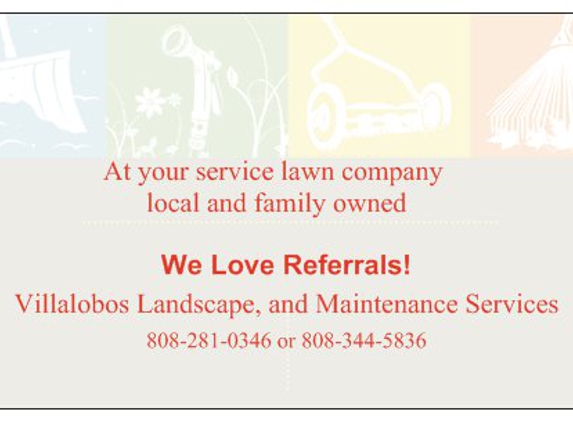 Villalobos Landscape Service  LLC - Kihei, HI