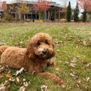 Center for Hospice Care - Hospices
