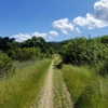 Lexington Reservoir County Park gallery