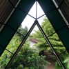 Green Roofing gallery