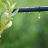 Andy's Irrigation gallery