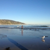 Malibu Lagoon State Beach gallery