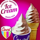Carvel Ice Cream - Ice Cream & Frozen Desserts