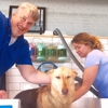 Metro Animals Pet Wash gallery