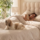 Sleep Number Store