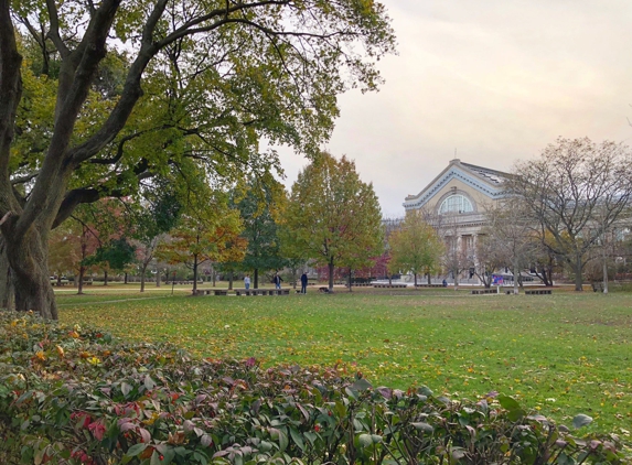 Senn High School - Chicago, IL