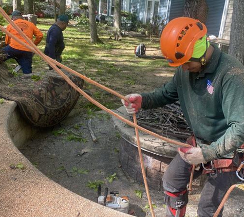 American Tree & Landscaping - Woodbridge, VA