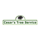 Cesar's Tree Service