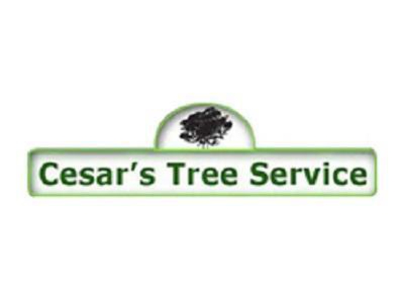 Cesar's Tree Service