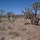 Kingman Land For Sale