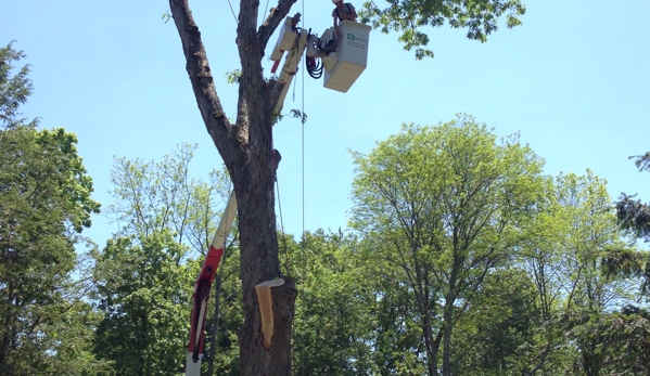 Bart's Tree Service - Danbury, CT