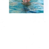 Balboa Pool Service & Repair LLC gallery