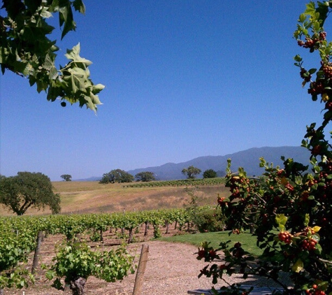 Gainey Vineyard - Santa Ynez, CA