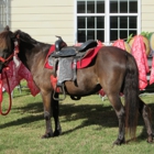 Sunny Brooke Farm and Pony Ranch