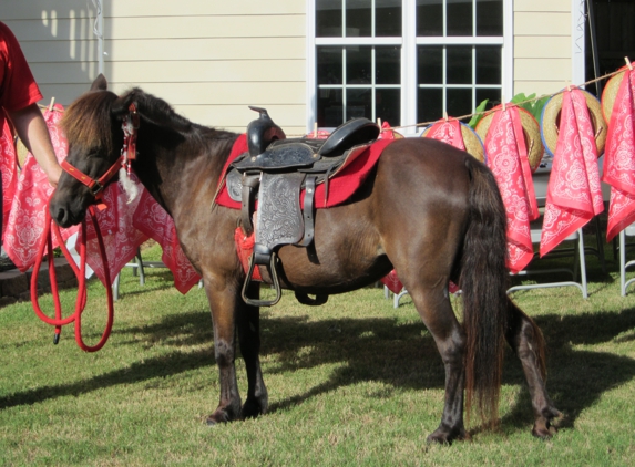 Sunny Brooke Farm and Pony Ranch - Buford, GA