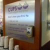 Cups Frozen Yogurt gallery