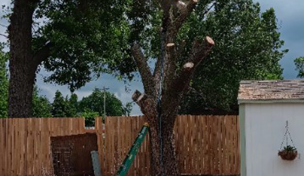 RGC Tree Lawn and Landscaping - Stillwater, OK