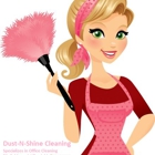 Dust-N-Shine Cleaning