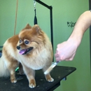 Nature's Pet Market - Pet Grooming