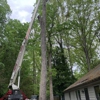 Call My Saw Tree Service gallery