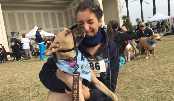 San Pablo Animal Hospital - Jacksonville, FL. Kisses for Dr. Ana